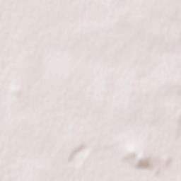 Spasskoye Terrain Map