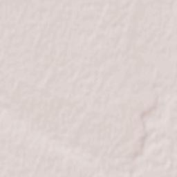 Starodubskoye Terrain Map