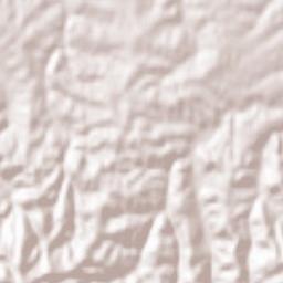 Tršić Terrain Map