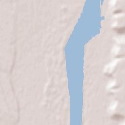 Pleşoiu Terrain Map