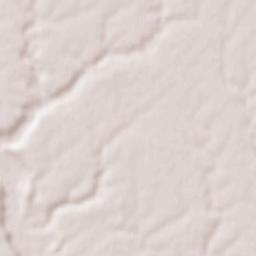 Priseaca Terrain Map