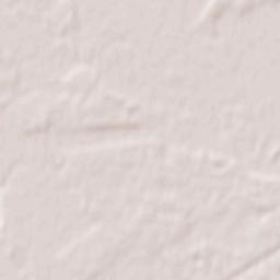 Căscioarele Terrain Map