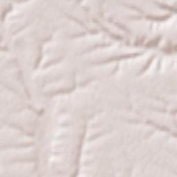 Comuna Mischii Terrain Map