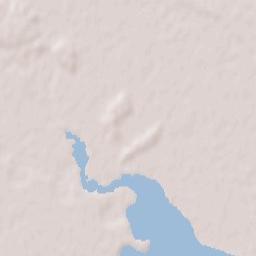 Comuna Domneşti Terrain Map