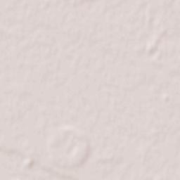 Măgurele Terrain Map