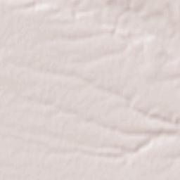 Pieleştí Terrain Map