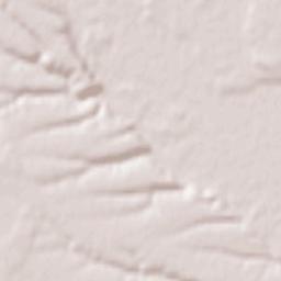 Comuna Bârza Terrain Map