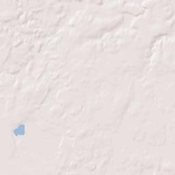 Tyler Terrain Map