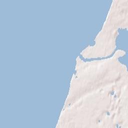 Manistee Terrain Map