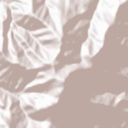 Pamparato Terrain Map