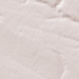 Pleniţa Terrain Map