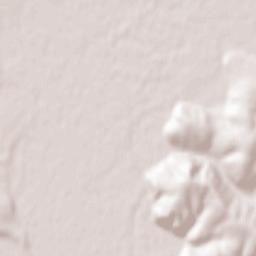 Lapovo Terrain Map