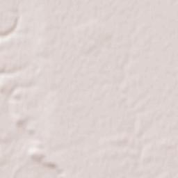 Drăgăneşti-Olt Terrain Map