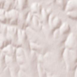 Comuna Peştera Terrain Map