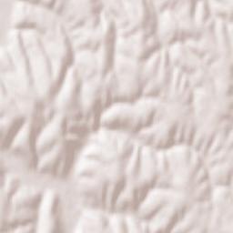 Ion Corvin Terrain Map