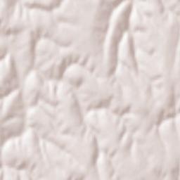 Oraş Bãneasa Terrain Map