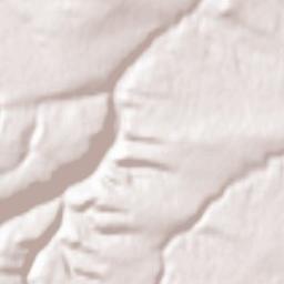 Borgustanskaya Terrain Map