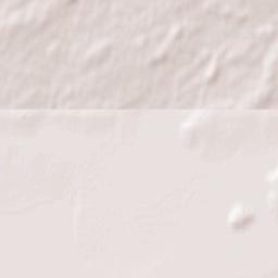 Prince Edward Terrain Map