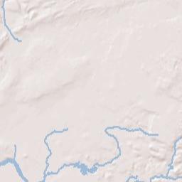 Texas New York Terrain Map