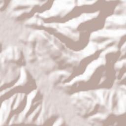 Pajić Polje Terrain Map