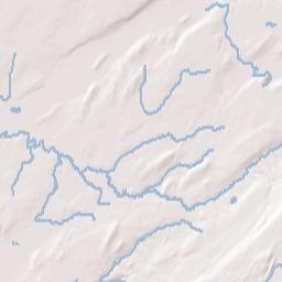 Rices New York Terrain Map