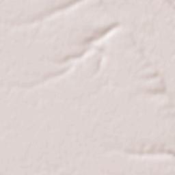 Brânceni Terrain Map