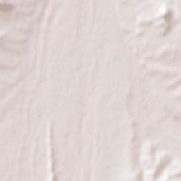 Kardonikskaya Terrain Map