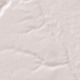 Cervenia Terrain Map