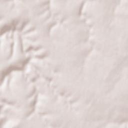 Obshtina Dulovo Terrain Map