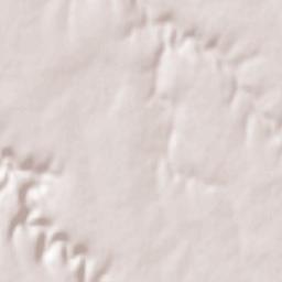 Krushari Terrain Map