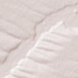 Hayredin Terrain Map