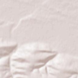 Obshtina Belene Terrain Map