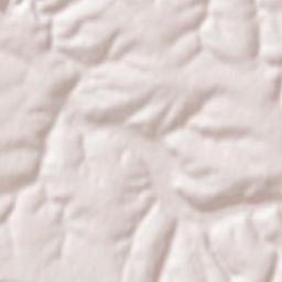 Obshtina Tsar Kaloyan Terrain Map