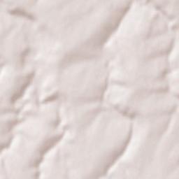Obshtina Samuil Terrain Map