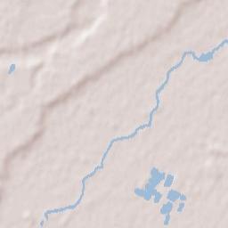 La Salvetat-Saint-Gilles Terrain Map