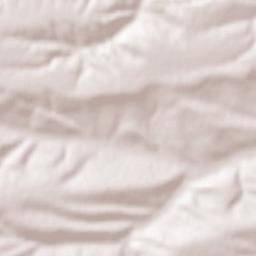 Obshtina Svishtov Terrain Map