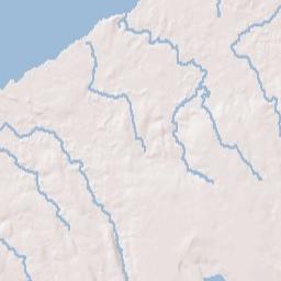 Scriba New York Terrain Map