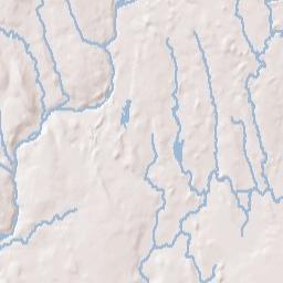 Freeman Mill New York Terrain Map