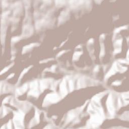 Labastide-Rouairoux Terrain Map