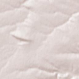 Obshtina Montana Terrain Map