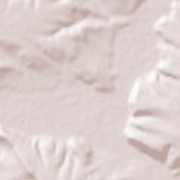 Boychinovtsi Terrain Map
