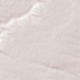 Obshtina Knezha Terrain Map