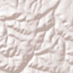 Obshtina Dve Mogili Terrain Map