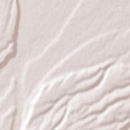 Psygansu Terrain Map