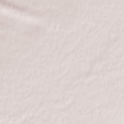 Obshtina Cherven Bryag Terrain Map