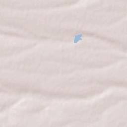 Obshtina Pordim Terrain Map