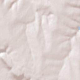 Obshtina Suvorovo Terrain Map