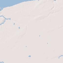 Wilson New York Terrain Map