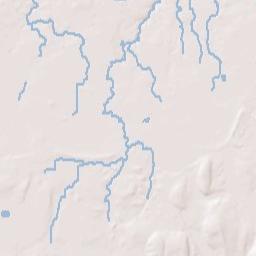 Williamson New York Terrain Map