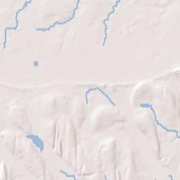East Williamson New York Terrain Map